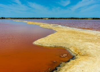 Pink Lake Senegal
