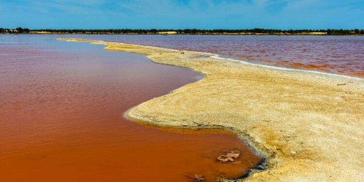 Pink Lake Senegal